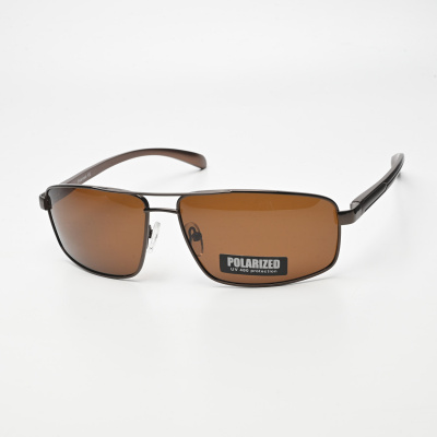 Очки мужские Polarized P2073 C3