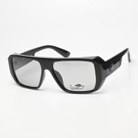 Очки мужские с линзами-хамелеонами POLAR EAGLE  PE1196