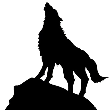 Greywolf Polarized - солнцезащитные очки для мужчин и девушек