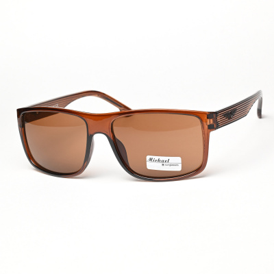 Очки мужские MICHAEL uv400 M4509 C2