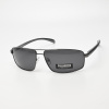 Очки мужские Polarized P2073 C2