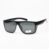 Очки мужские FELLIS POLARIZED P9317 C1