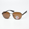 Очки унисекс солнцезащитные Replica RB Polarized RB3798 C4
