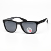 Очки мужские Replica RAYBAN POLARIZED RB8342